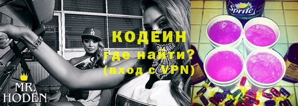 гашик Мегион