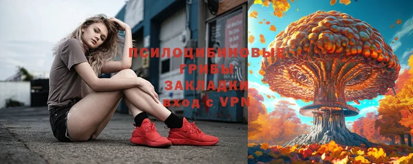 гашик Мегион