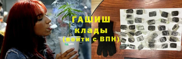 гашик Мегион